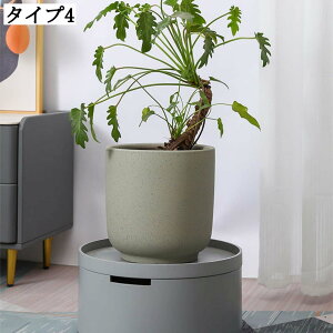 ϗtA T{e |gX  ؂ǂ ItBX CeA Aؔ A|bg |pi 픫 v^[|bg Aؔ Aؔ  㑕 16*20cm v^[ 