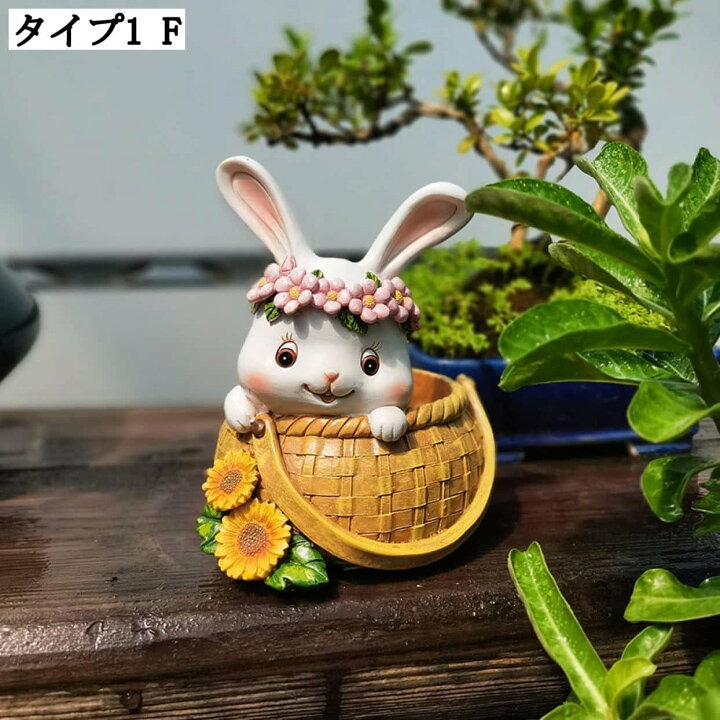 楽天市場】多肉植物用大型プランター 樹脂製 カントリー風 インテリア 