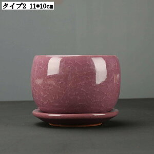 ȐAؔ A|bg 픫 v^[ 11*10cm  Z~bN T{ep Apvg|bg CeA K[fjOp v^[ Mt Op  