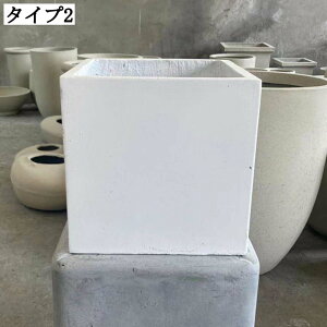 ZgT{e rEt ȃv^[ OΉ [ XNGA^ 19x22cm CeApϗtA ؂ǍD gX^C v^[ ꌊ Aؔ AؔJ