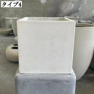 ZgT{e rEt ȃv^[ OΉ [ XNGA^ 19x22cm CeApϗtA ؂ǍD gX^C v^[ ꌊ Aؔ AؔJ