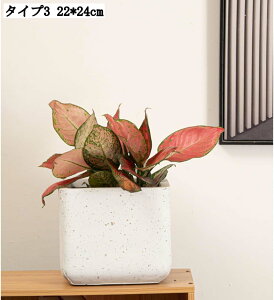 T{e v^[|bg ^ 22*24cm Aؔ A؃|bg | 񂹐A [^ [ pv^[ k ϗtAAؔ 傫Aؔ Z~bN Aؔ pv