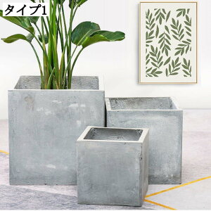 傫T{e ϗtAAؔ CeA v^[Jo[ ZgAؔ K[fjOpAؔ gfUC rOp 22*22cm K[fjOpi ȐAؔ v^[ 