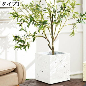 K[fjOpAؔ t CeA 18*18cm Zgv^[ ϗtA p v^[ ^ A t[|bg pv^[ Vv y lp e 