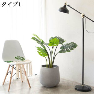Aؔ v^[ ^ [ Zg rEt 24*25cm pv^[ ʋCǍD  t[|bg K[f|bg | AeB[N e k Apvg