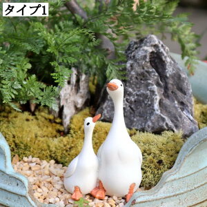 K[fI[ig AqI[ig S  k W Aq̒ CeAG Ȓu i ւɒu K[fjOG Ђ  fBXvC  