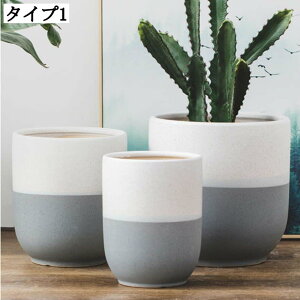  v^[ T{e pv^[ ϗtA K[f|bg [^ e ̒ɔrt CeA 픫 | AJo[ ȐAؔ ؂ǂ A