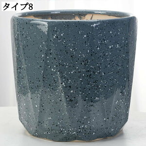  v^[ T{e pv^[ ϗtA K[f|bg [^ e ̒ɔrt CeA 픫 | AJo[ ȐAؔ ؂ǂ A