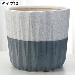  v^[ T{e pv^[ ϗtA K[f|bg [^ e ̒ɔrt CeA 픫 | AJo[ ȐAؔ ؂ǂ A