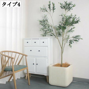 Zgv^[ ^TCY t XNGA^ _  AeB[N t[|bg Aؔ K[fjOpi A|bg Ap A {pOp ǍDȔr