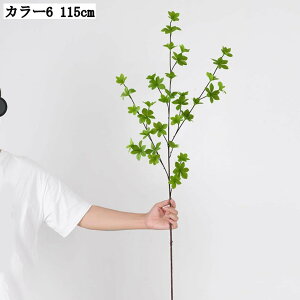 CeA Pi 67cm hE_ccW lHϗtA t[AWg A[eBtBVO[ 1{ CeAAW O[ ԍ