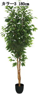 sṽAȑ^ϗtA 120cm 150cm 180cm  t CeA tFCNO[ J[IvV