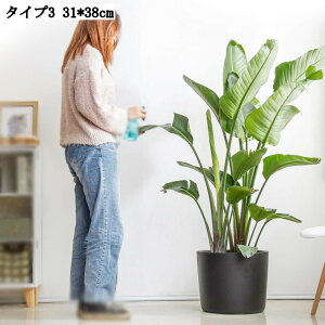 僂_pv^[ 31*38cm Vvyʓ픫 ʋC K[fpiϗtA A|bgOp fUC ֏ AؔZ~bN