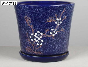 ϗtA Aؔ T{e v^[ gCt   ʋC ꌊ ȐAؔ Ƃ̏ v[g Mtg e X^CbV t[|bg AeB[