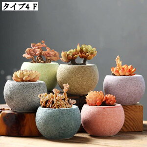 pv^[ 5 6 Z~bNAؔZbg ʋC  ؂ǂ ~` A|bg K[f|bg Apvg|bg CeA Aؗe rEt ^A