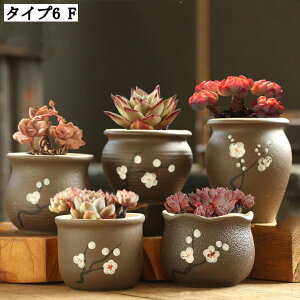 pv^[ 5 6 Z~bNAؔZbg ʋC  ؂ǂ ~` A|bg K[f|bg Apvg|bg CeA Aؗe rEt ^A