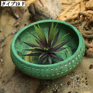 ^Aؔ T{e ^ 픫 AeB[N Apv^[ Z~bNAؔ y ɂ ϗtA 뉀 Op rEt  K[fjOpi t