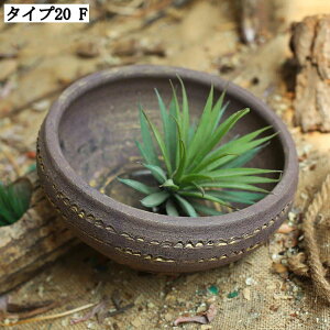 ^Aؔ T{e ^ 픫 AeB[N Apv^[ Z~bNAؔ y ɂ ϗtA 뉀 Op rEt  K[fjOpi t