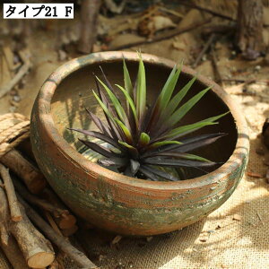 ^Aؔ T{e ^ 픫 AeB[N Apv^[ Z~bNAؔ y ɂ ϗtA 뉀 Op rEt  K[fjOpi t