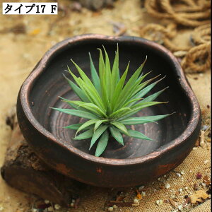 ^Aؔ T{e ^ 픫 AeB[N Apv^[ Z~bNAؔ y ɂ ϗtA 뉀 Op rEt  K[fjOpi t