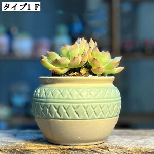 ^Aؔ Ap Z~bN Et ϗtA   CeA AؔZbg  v^[Zbg ~j^Cv pe k K[f|bg Mtg v[