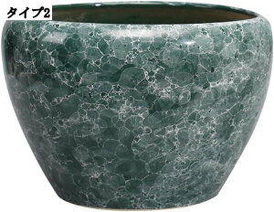 yʃT{e rEt v^[Jo[ X^CbVȖk CeA Ap 퐻 Z~bN Ap e ȐAؔ [^Cv Op ȃK