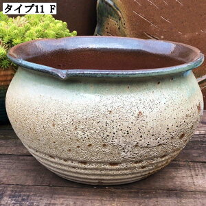 傫Aؔ ؂ǂ [ Op AeB[N Aؗe pv^[ ϗtA A؃|bg |pi A ɐ w L K[f|bg ^