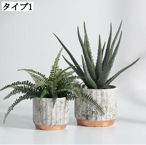  Aؔ ꌊL t[x[X ϗtAAؔ  STCY CeA A|bg AeB[N T{e|bg vg|bg Aؔ _ ^ | Z~bN