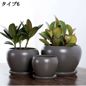 [ Z~bN gCt v^[ A t[|bg v^[ CeA 񂲌^ S ی^ e ؂ǂ t[x[X Aؔ ϗtA A|bg 