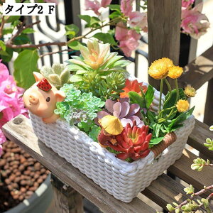 A|bg pv^[ Ȃ t K[f|bg CeA k͔| yk͔| Aؔ t[|bg ϗtA ApAؔ ^ ʋCǍD kA