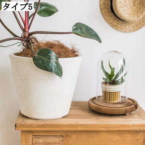 CeA Aؔ Zg Ȏpv^[ ApL rt_fUC AeB[NK[f|bg ʋCǍD rt ^[^t[|bg k