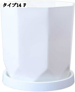 ϗtA Z~bN v^[ ^  Mt T{e|bg Apvg|bg |pi ItBX CeA IuWF k Aؔ ʋCǂ yk͔| A 