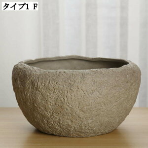 v^[ A AeB[N a Vv Aؔ k͔|p ȊϗtA CeA 픫 rEȂ T{e A|bg K[f|bg ^ ȐAؔ 