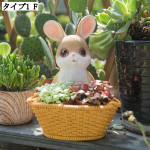  f Aؔ A  ʋCǍD A|bg v^[ [{bNX IuWF pr K[f|bg vg|bg 둕 CeA  |pi t