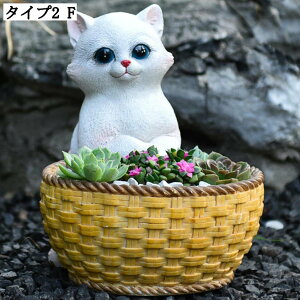 ^ϗtA Aȓ v^[ CeAG Jg[ t[|bg K[fjOpi ^Aؔ Ȏ Apn[u Ȏv^[