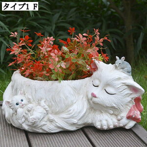 T{e v^[ t[|bg A|bg 傫 Aؔ 뉀 Op  ̒ɔrt X^CbV AeB[N pv^[ K[f|bg 