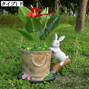  ̐Aؔ Jo[ Aj}IuWF ϗtAp ^ ^ v^[ h  K[fIuWF ̑ Ap t[|bg CeA Op K[f