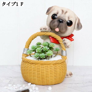 T{e Ae  K[fjO 뉀 CeA    hbO G K[fjOG Aj}IuWF ̒u ʔObY A A