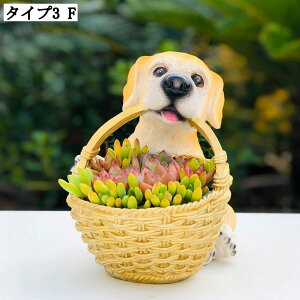 T{e Ae  K[fjO 뉀 CeA    hbO G K[fjOG Aj}IuWF ̒u ʔObY A A