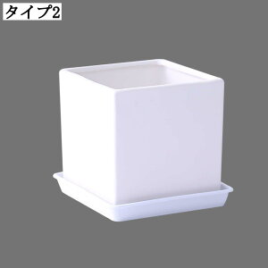 t[|bg n[u Apvg|bg ʋCǍD K[fjO ȐAؔ rEt  ^Aؔ x[VbN L 10*10cm A t[|bg Ԕ ؂