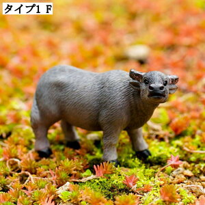 K[fI[ig W ~j`Au Ԓd gC A[g fXN K[fjOG AeB[N̑ }CNi K[fjOu |W 