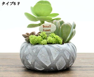 남̃IuWF K[fI[ig W ϋv AeB[N g G EOpv^[ ApAؔ ̕i ~j`A IVȒu ̂ЂTCY 