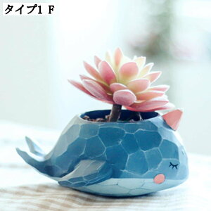 A  I[ig K[fjOu W ~jTCY A[g fXN K[fIuWF k iȒu  p ͋C 킢 K[fI[i