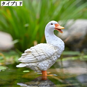 K[fjOu IuWF Aq A I[ig  CeAG K[fjOG i Aq̑ LOi ʐ^ K[f }CNi IVȒu 