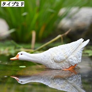 K[fjOu IuWF Aq A I[ig  CeAG K[fjOG i Aq̑ LOi ʐ^ K[f }CNi IVȒu 