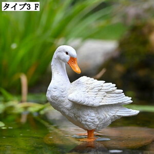 K[fjOu IuWF Aq A I[ig  CeAG K[fjOG i Aq̑ LOi ʐ^ K[f }CNi IVȒu 