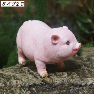 K[fI[ig K[fjOu  IuWF AeB[N i 蕨 CeAG Ȓu IuWF | Ԓd fXN }CNi  