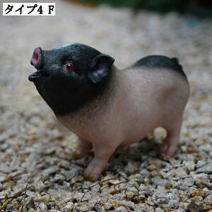 K[fI[ig K[fjOu  IuWF AeB[N i 蕨 CeAG Ȓu IuWF | Ԓd fXN }CNi  