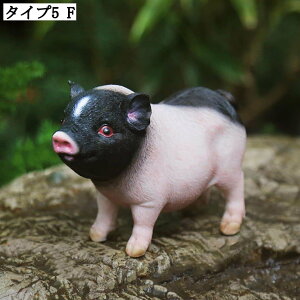 K[fI[ig K[fjOu  IuWF AeB[N i 蕨 CeAG Ȓu IuWF | Ԓd fXN }CNi  