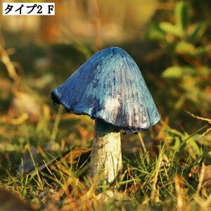 낢LmRu { Jg[I[ig  K[fI[ig O z[K[f ɒu ObY  | ̂IuWF CeAG K